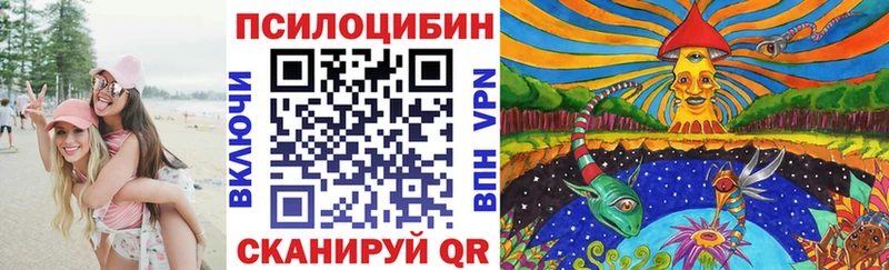 Псилоцибиновые грибы GOLDEN TEACHER купить сайты Гуково
